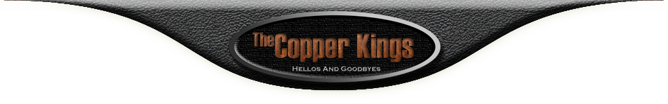 Logo Banner
